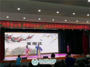 云南省首屆國際留學生文化交流周開幕