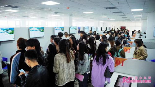 職 引未來 淄博文旅企業專場招聘會啟動