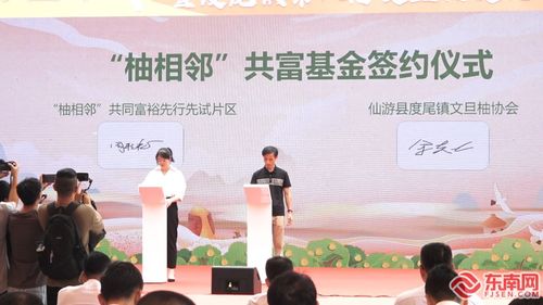 2024年莆田仙游縣農民豐收節暨度尾鎮第八屆文旦柚文化旅游活動開幕