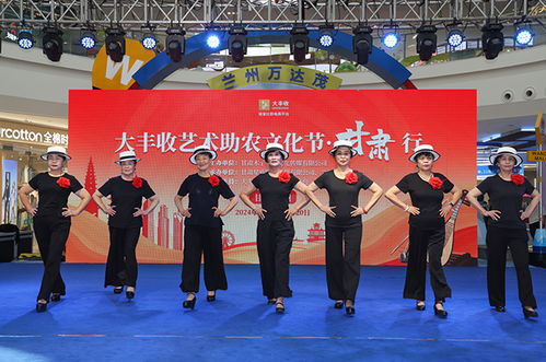 大豐收藝術(shù)助農(nóng)文化節(jié) 甘肅行活動(dòng)在蘭州舉行
